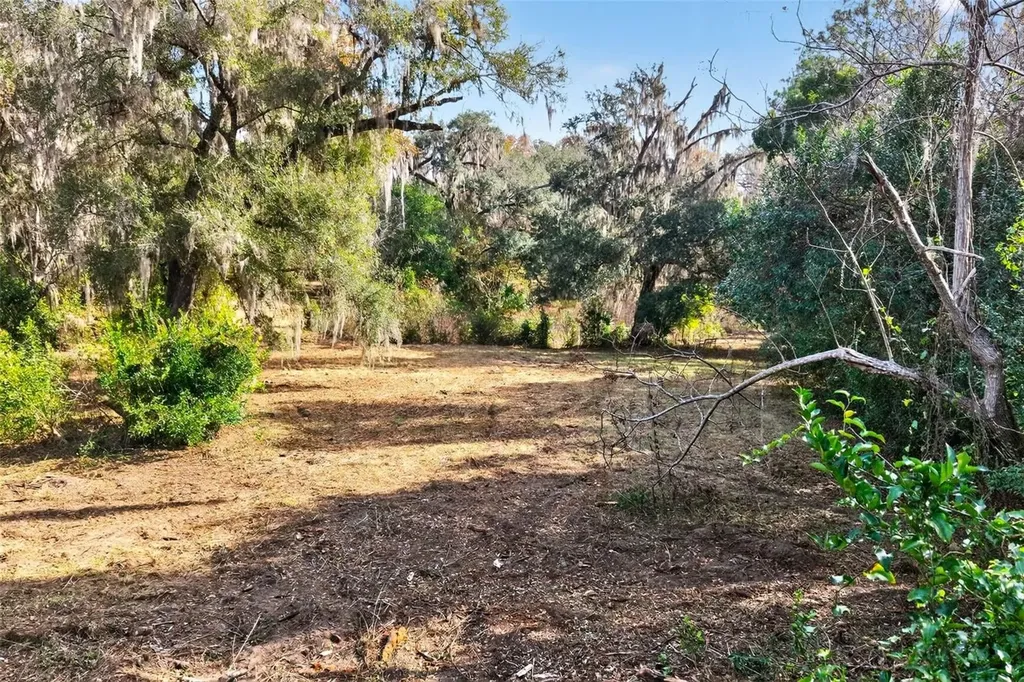 8989 S Great Oaks Drive Floral City FL 34436