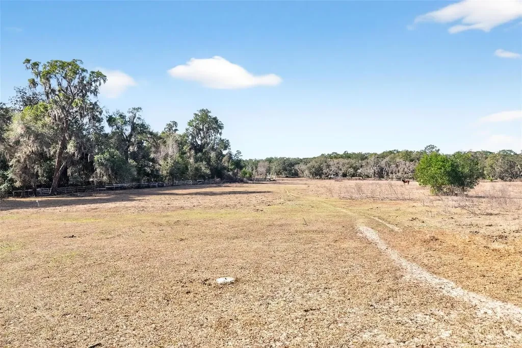8989 S Great Oaks Drive Floral City FL 34436