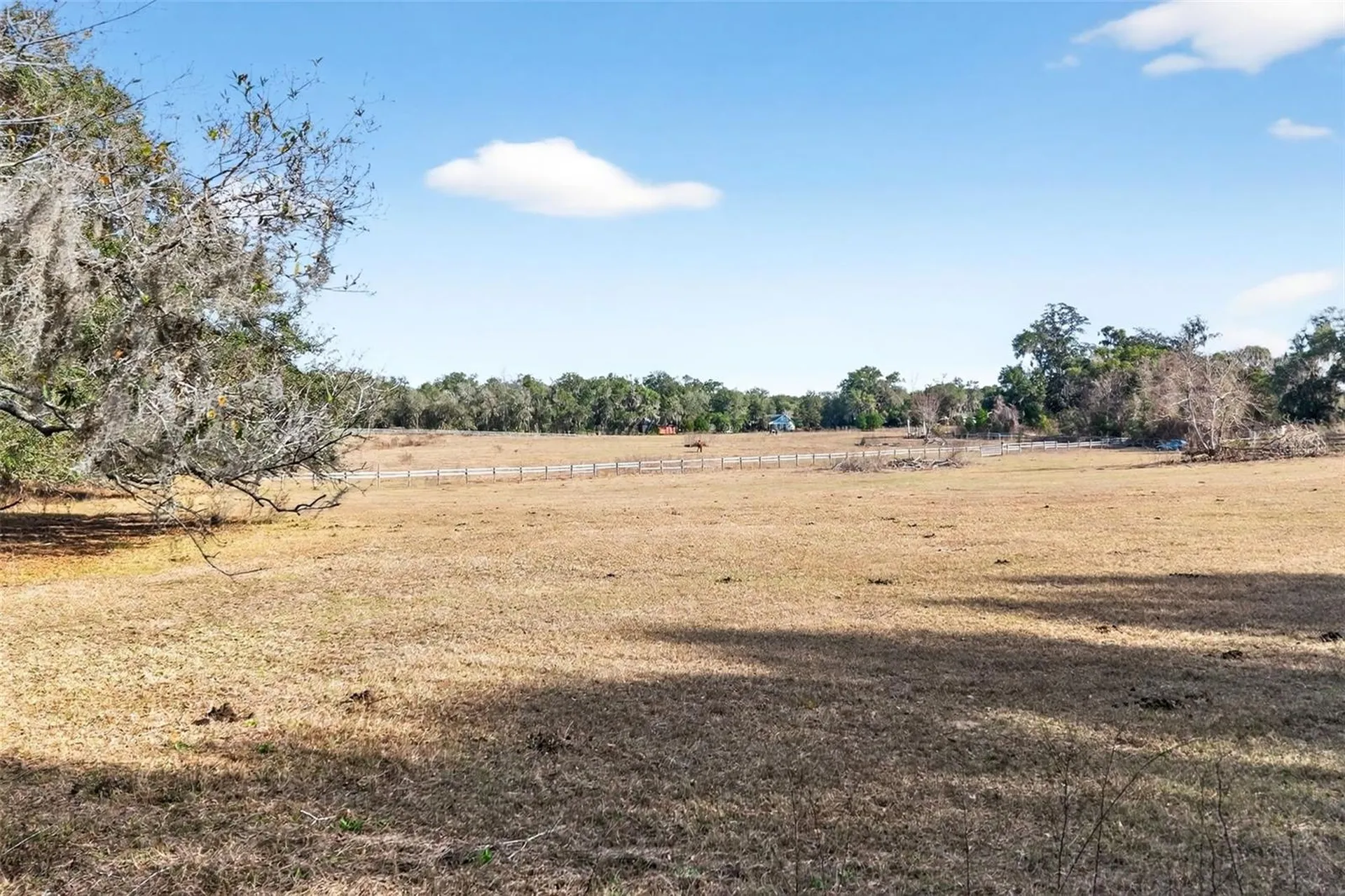 8989 S Great Oaks Drive Floral City FL 34436
