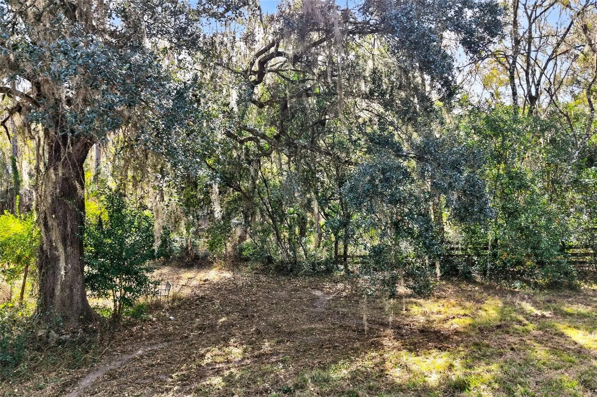 8989 S Great Oaks Drive Floral City FL 34436