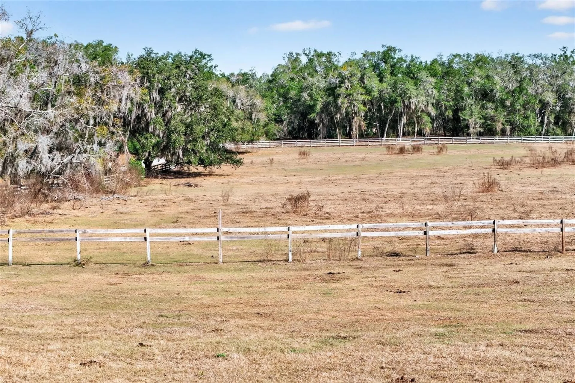 8989 S Great Oaks Drive Floral City FL 34436