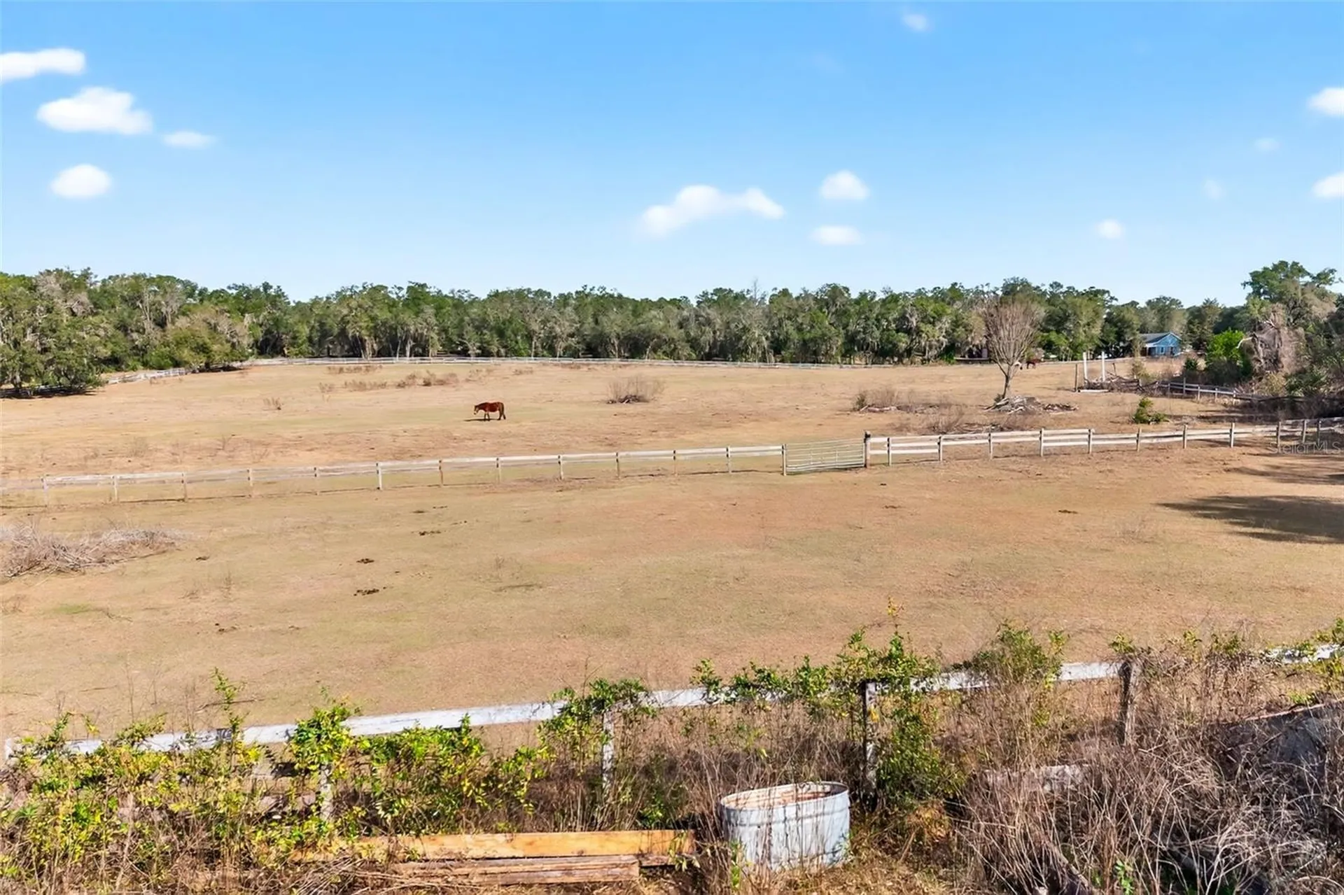 8989 S Great Oaks Drive Floral City FL 34436