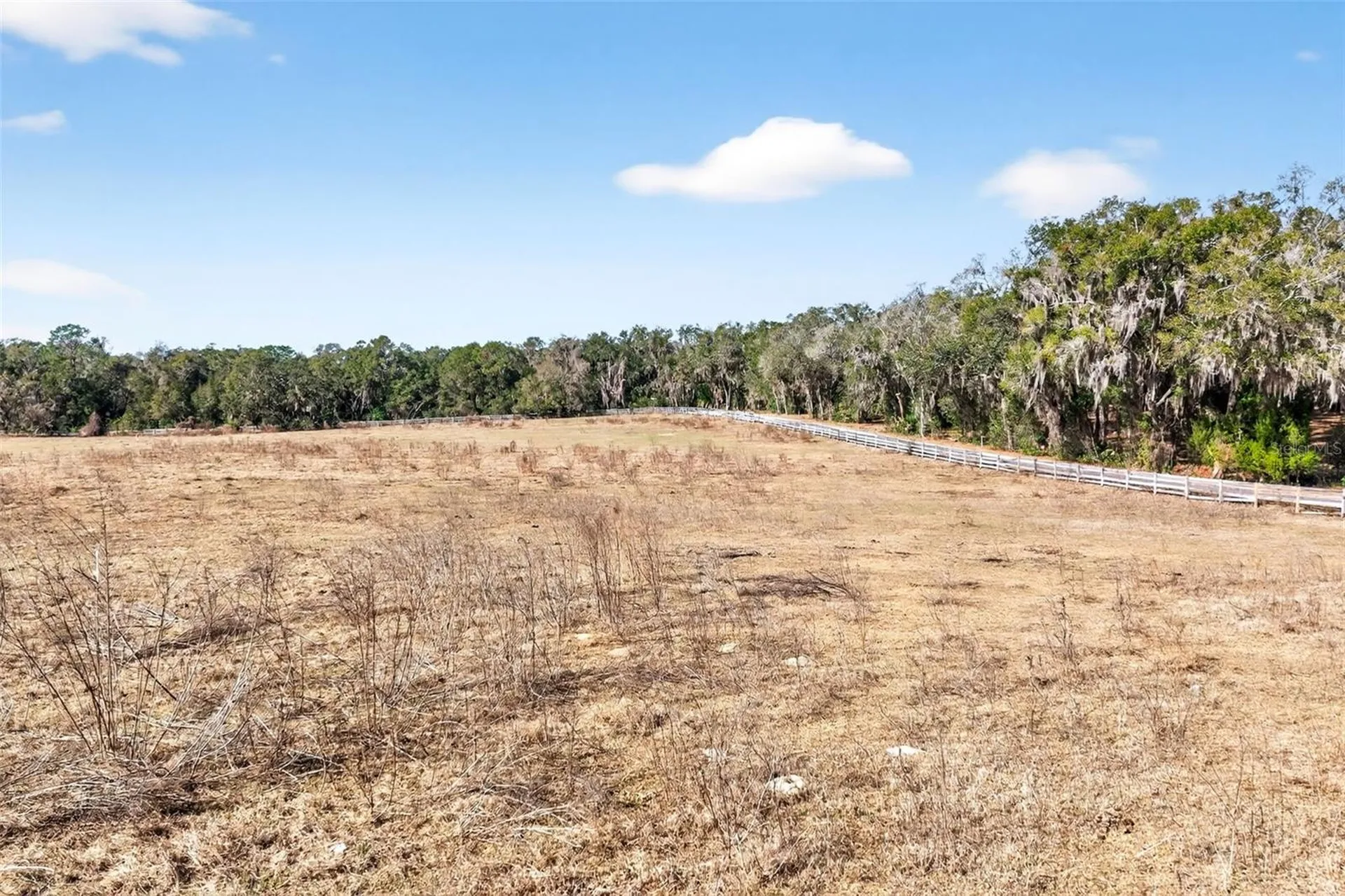8989 S Great Oaks Drive Floral City FL 34436