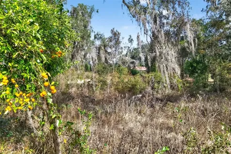 8989 S Great Oaks Drive Floral City FL 34436