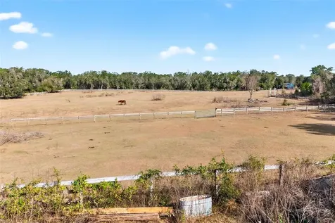 8989 S Great Oaks Drive Floral City FL 34436