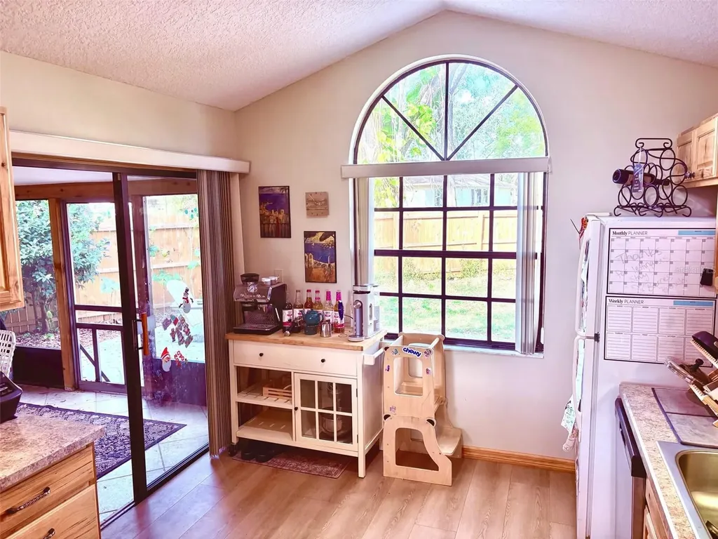 3909 Lake Forest Street Mount Dora FL 32757