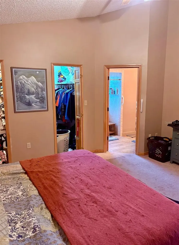 3909 Lake Forest Street Mount Dora FL 32757