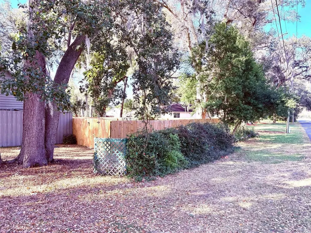 3909 Lake Forest Street Mount Dora FL 32757