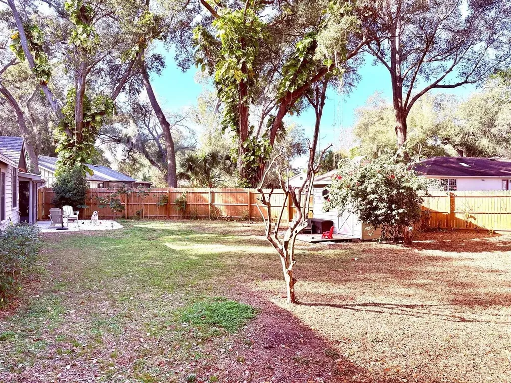 3909 Lake Forest Street Mount Dora FL 32757