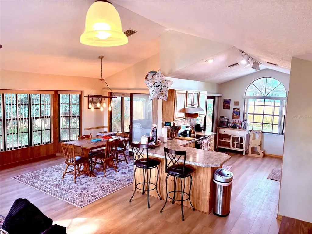 3909 Lake Forest Street Mount Dora FL 32757