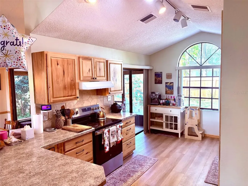 3909 Lake Forest Street Mount Dora FL 32757