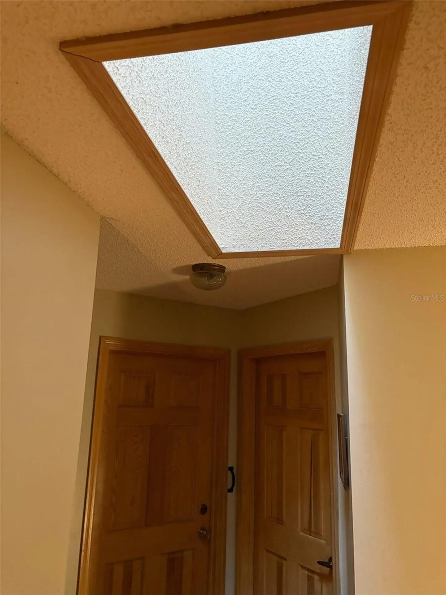 3909 Lake Forest Street Mount Dora FL 32757