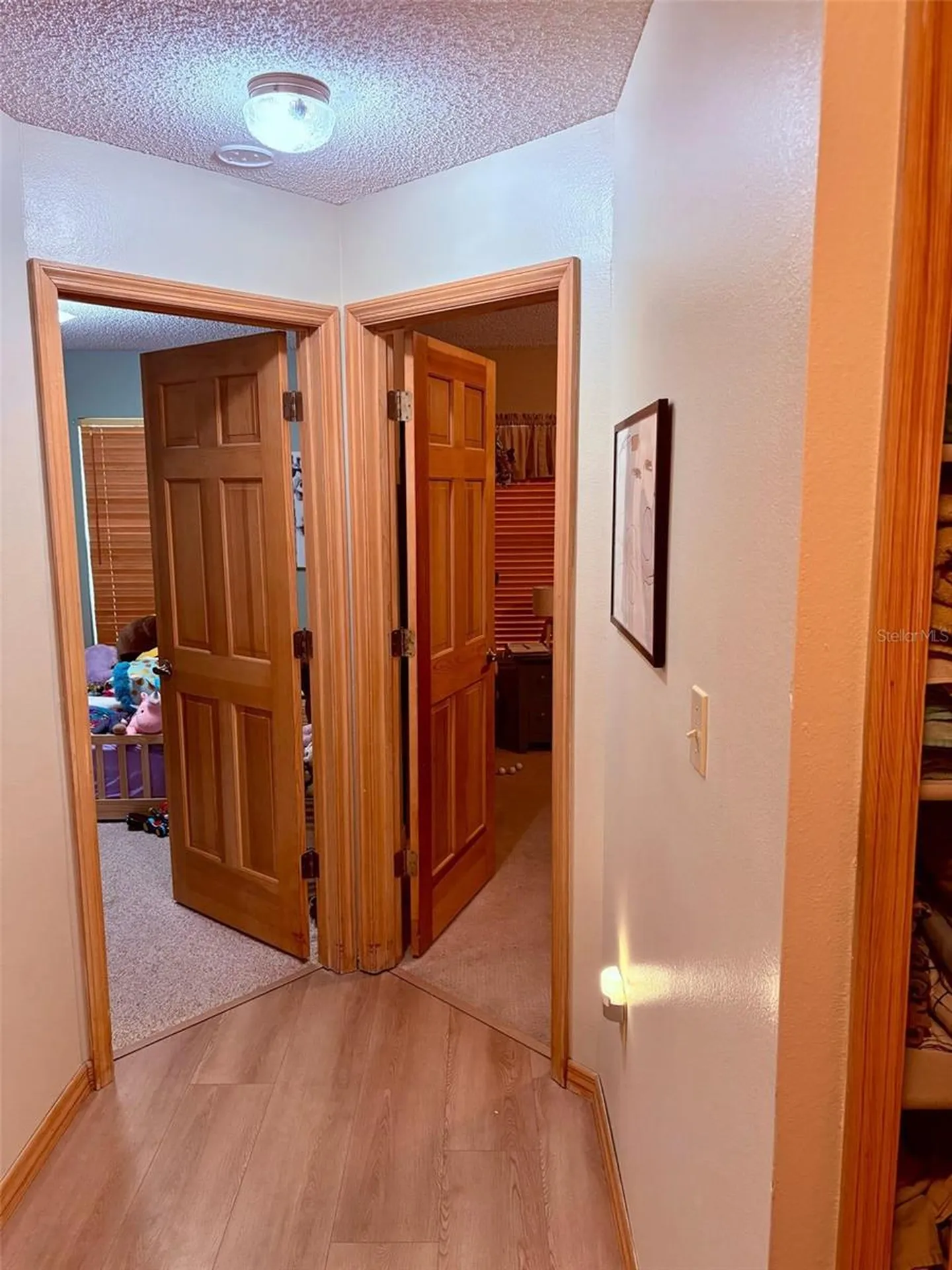 3909 Lake Forest Street Mount Dora FL 32757