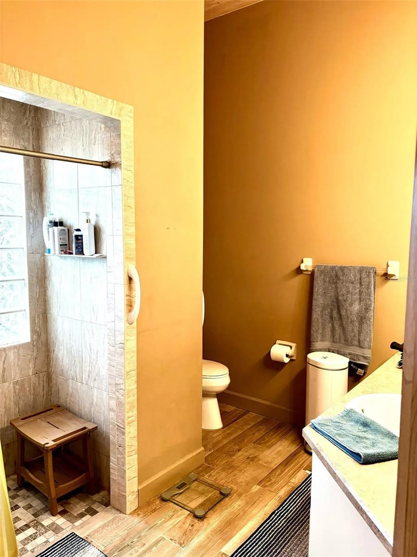 3909 Lake Forest Street Mount Dora FL 32757
