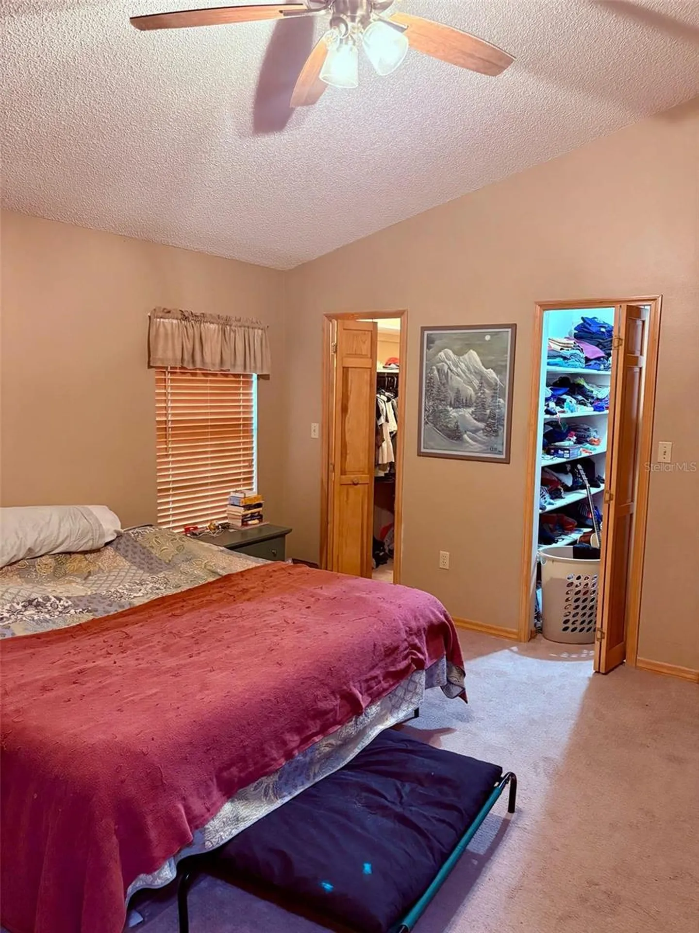 3909 Lake Forest Street Mount Dora FL 32757