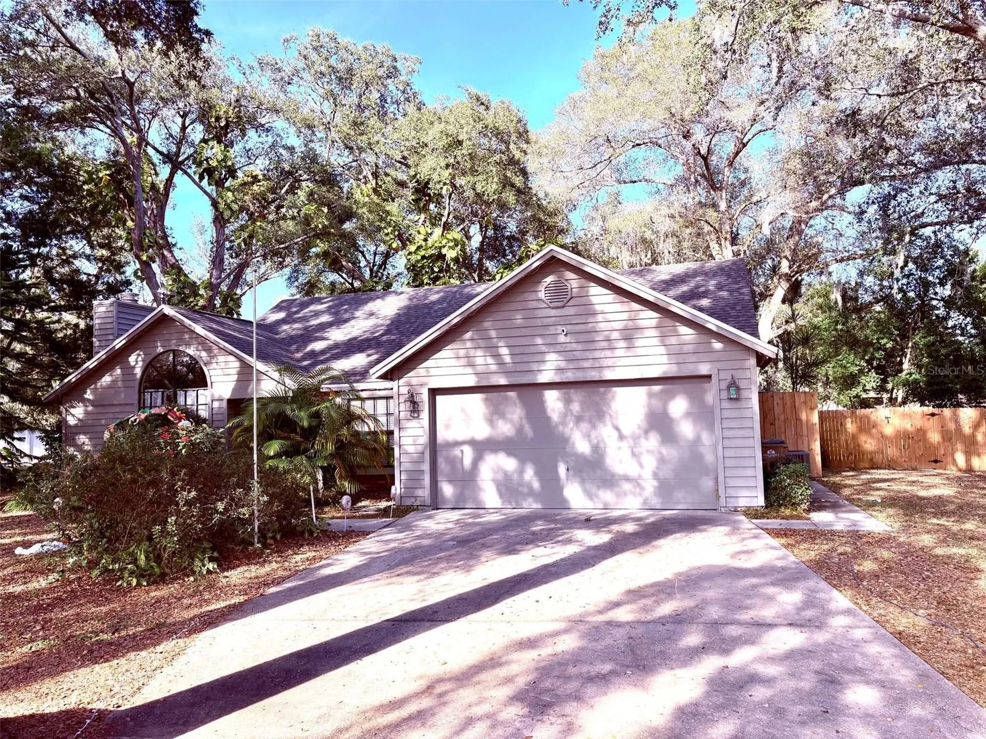3909 Lake Forest Street Mount Dora FL 32757