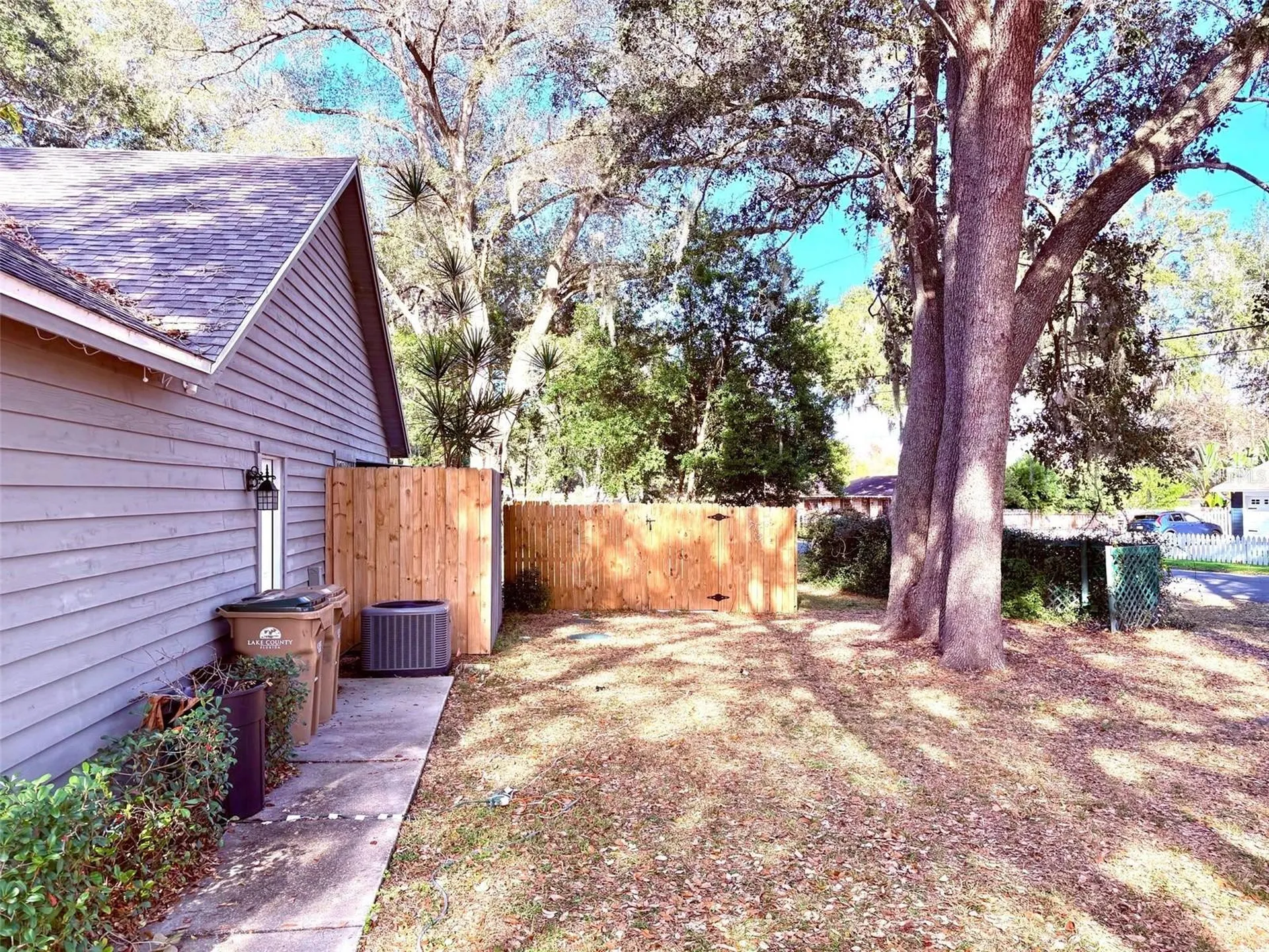 3909 Lake Forest Street Mount Dora FL 32757