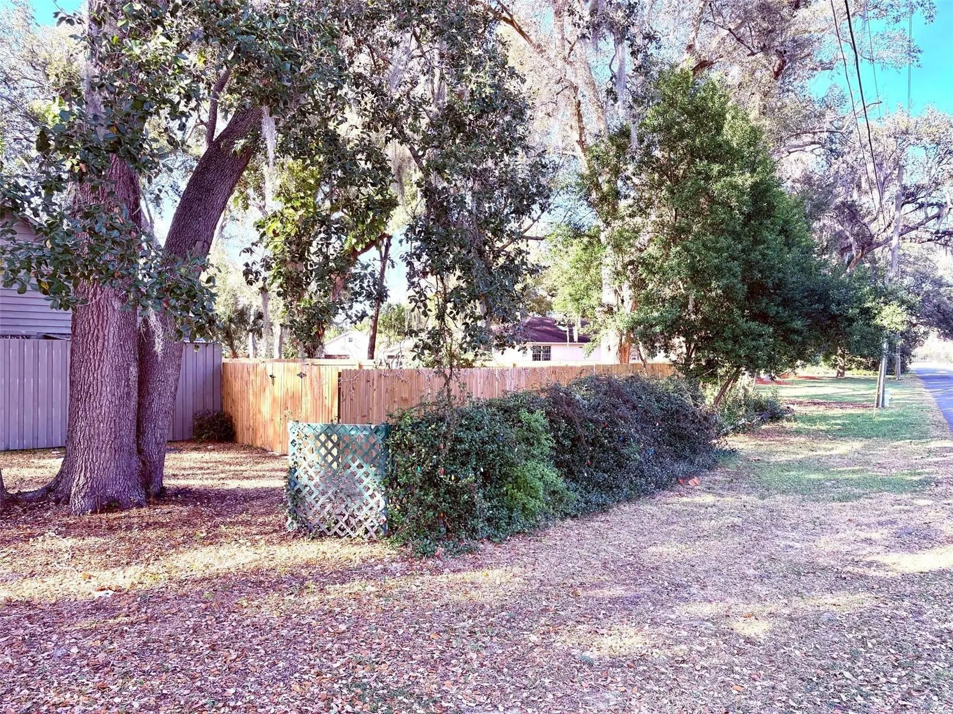 3909 Lake Forest Street Mount Dora FL 32757