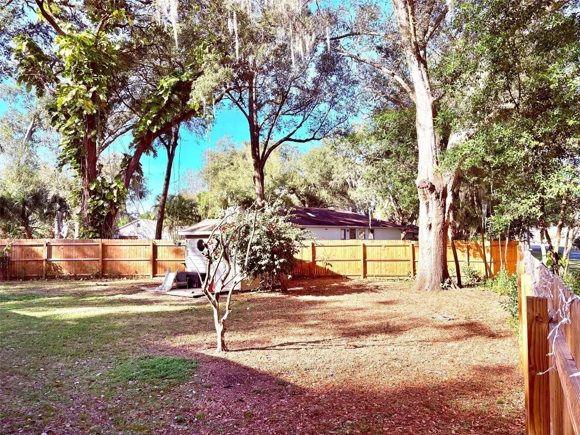 3909 Lake Forest Street Mount Dora FL 32757