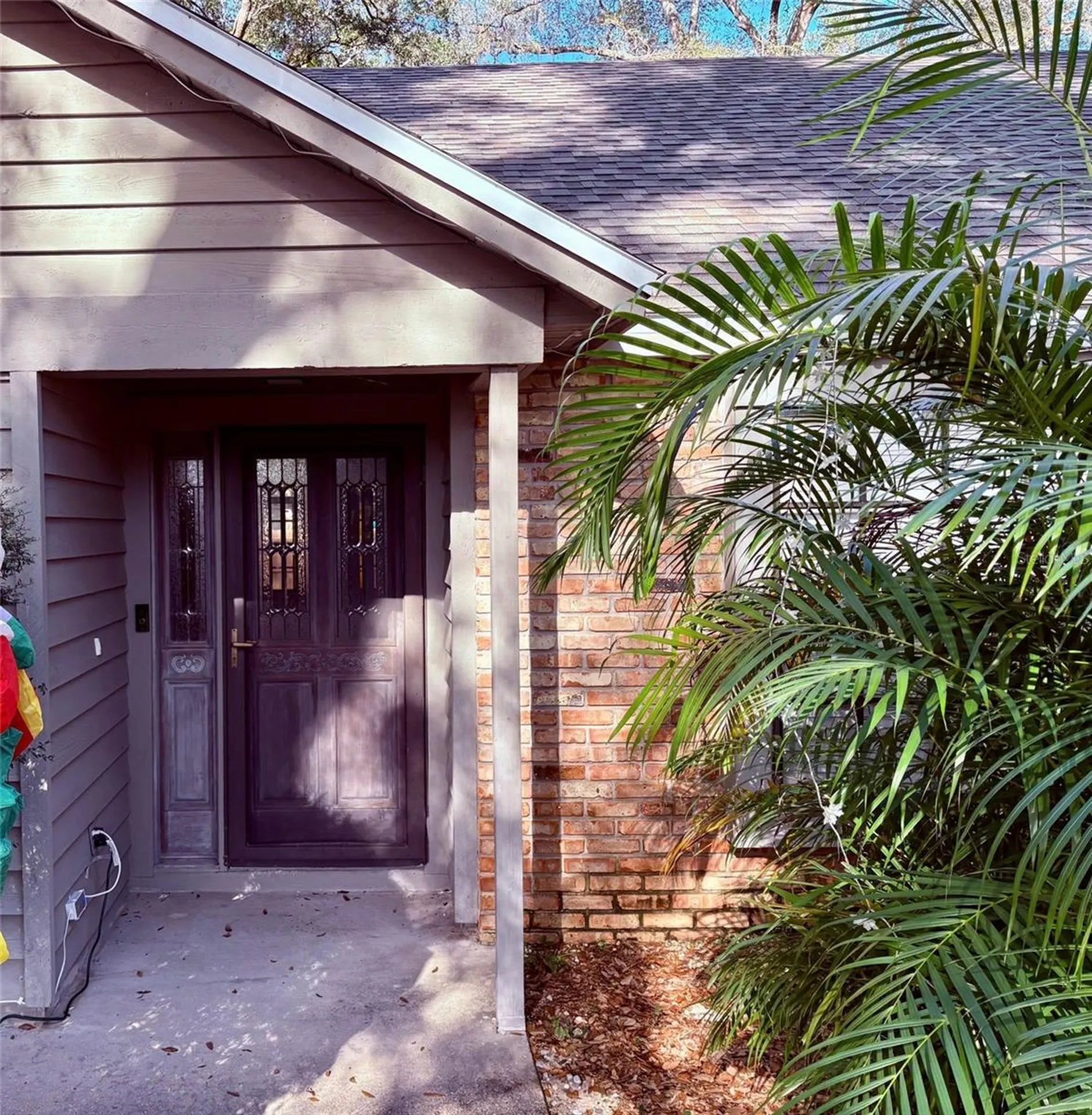 3909 Lake Forest Street Mount Dora FL 32757