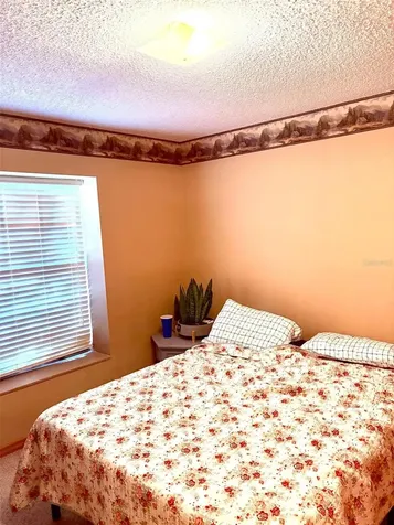 3909 Lake Forest Street Mount Dora FL 32757