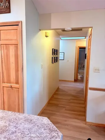 3909 Lake Forest Street Mount Dora FL 32757