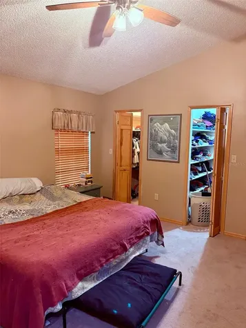 3909 Lake Forest Street Mount Dora FL 32757