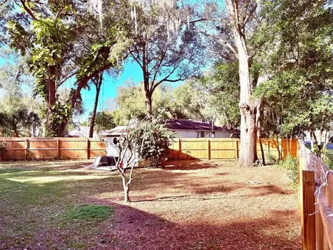3909 Lake Forest Street Mount Dora FL 32757