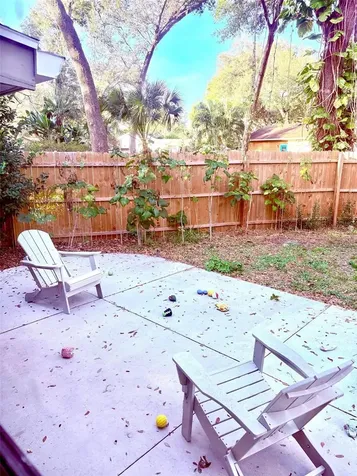 3909 Lake Forest Street Mount Dora FL 32757