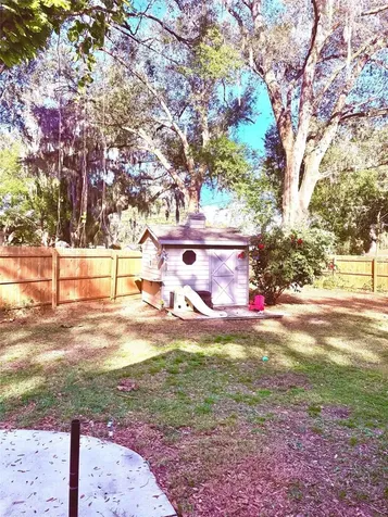 3909 Lake Forest Street Mount Dora FL 32757