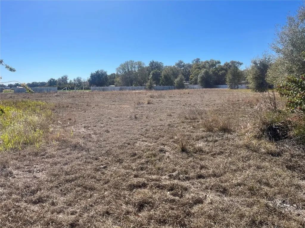 13415 Cocopah Lane Dover FL 33527