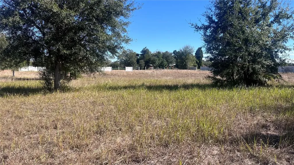 13415 Cocopah Lane Dover FL 33527