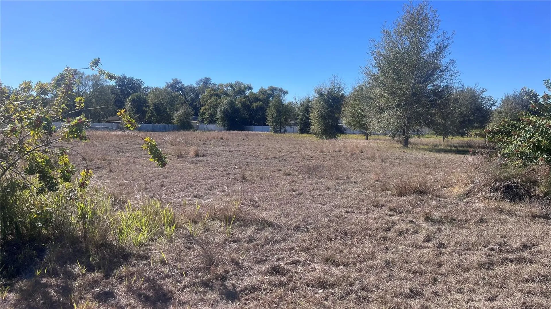 13415 Cocopah Lane Dover FL 33527