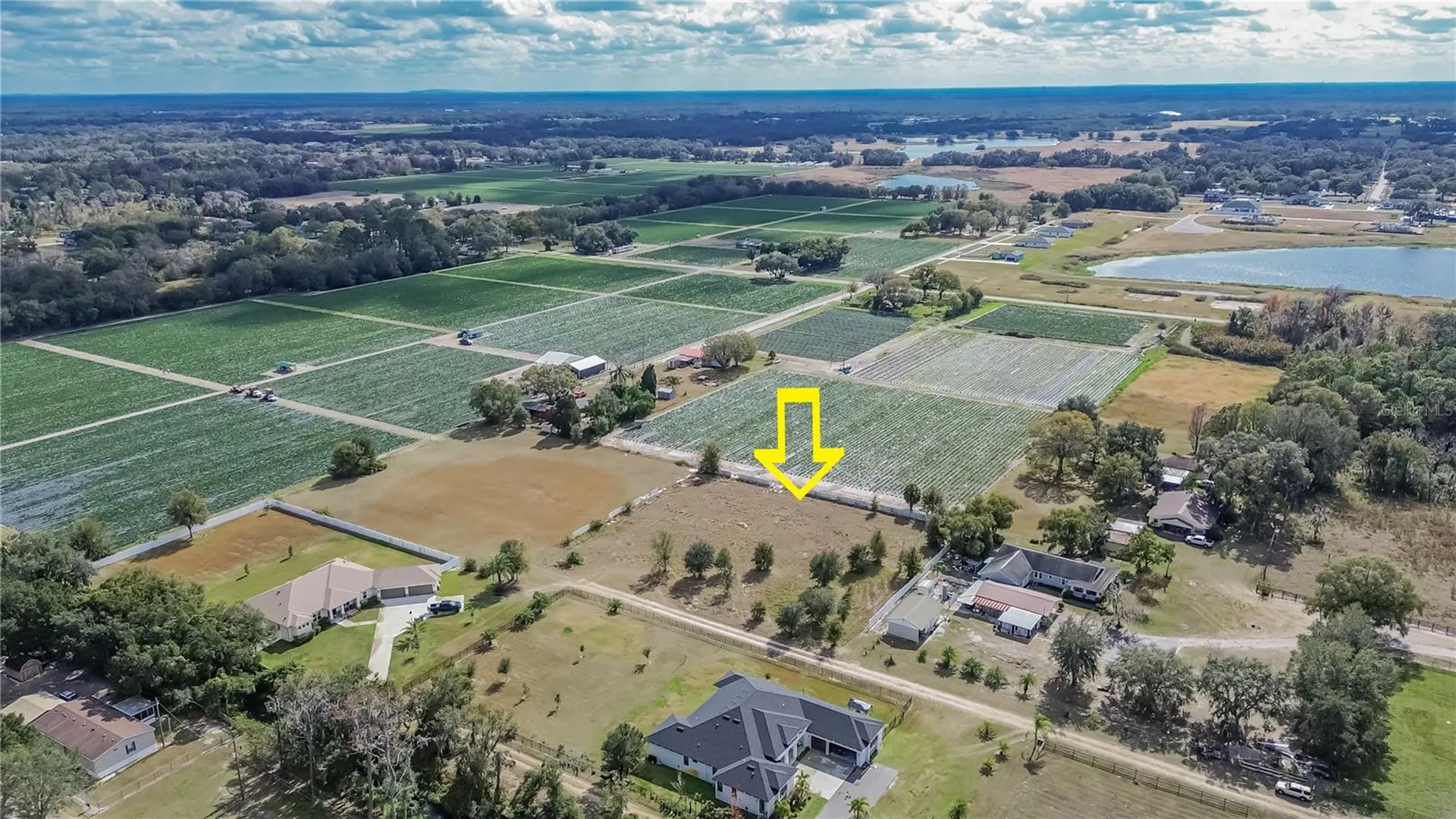 13415 Cocopah Lane Dover FL 33527