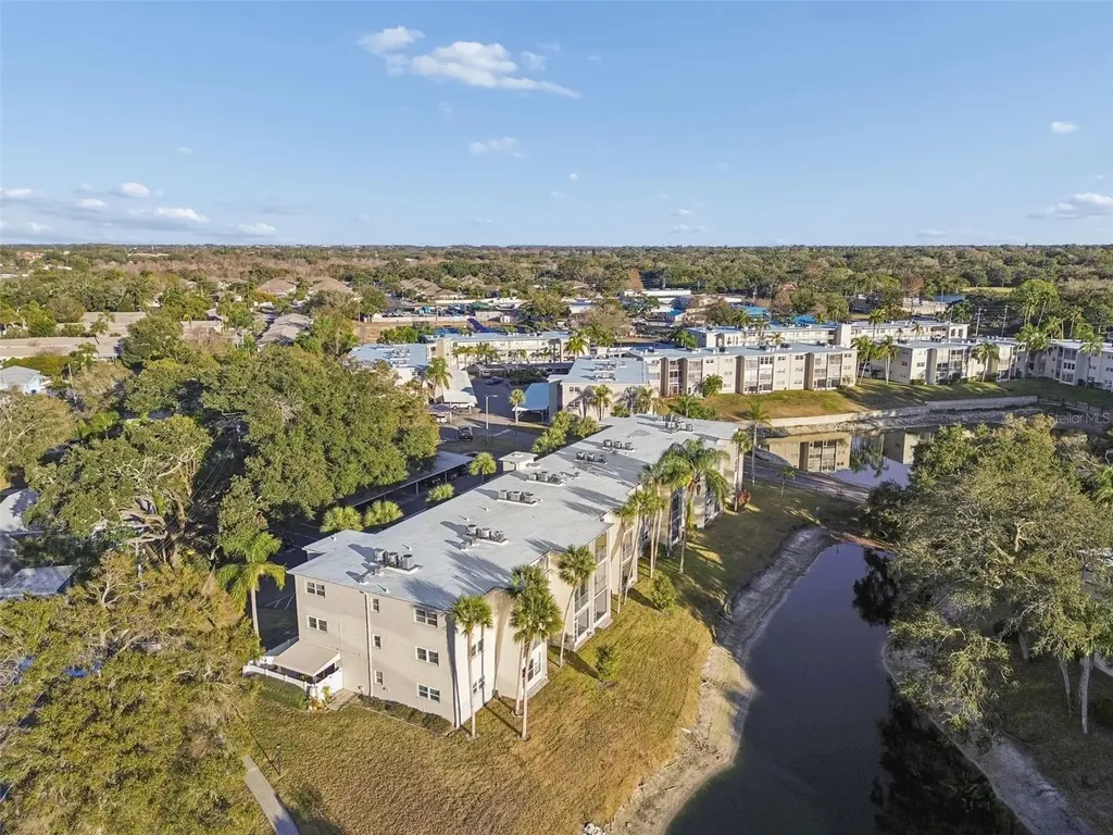 946 Virginia Street Dunedin FL 34698