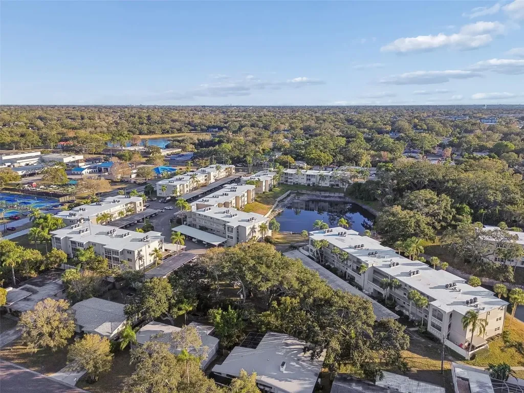 946 Virginia Street Dunedin FL 34698