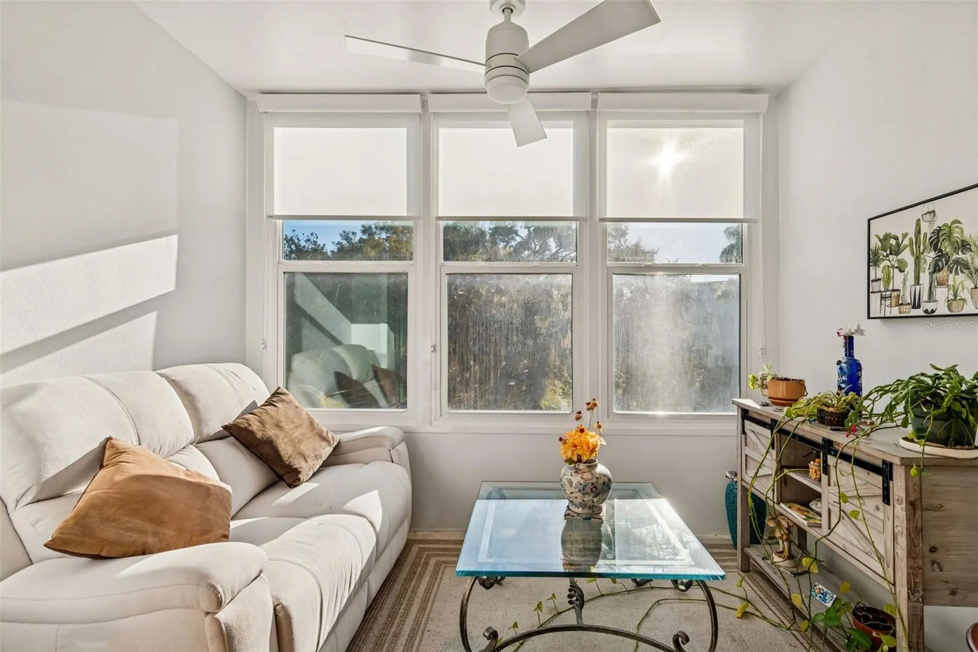 946 Virginia Street Dunedin FL 34698