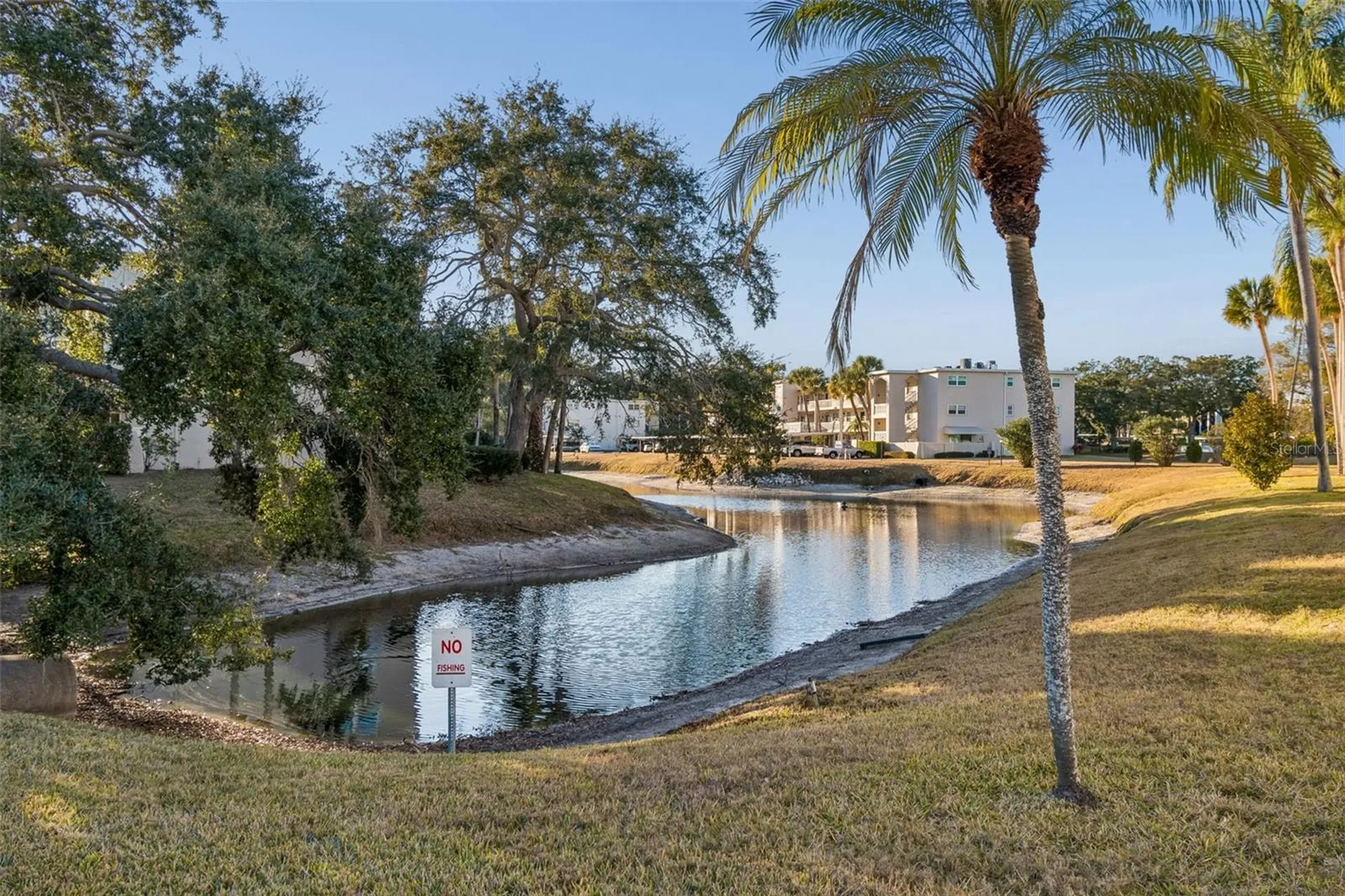946 Virginia Street Dunedin FL 34698