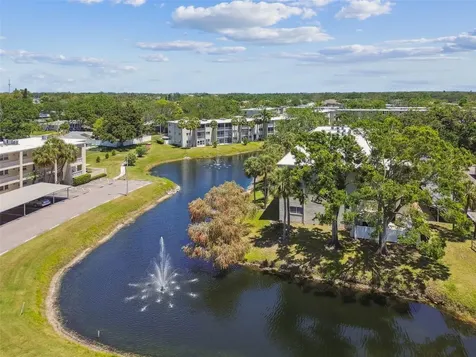 946 Virginia Street Dunedin FL 34698