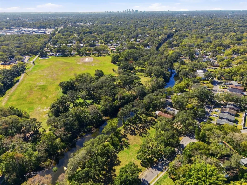 2011 E Mulberry Drive Tampa FL 33604