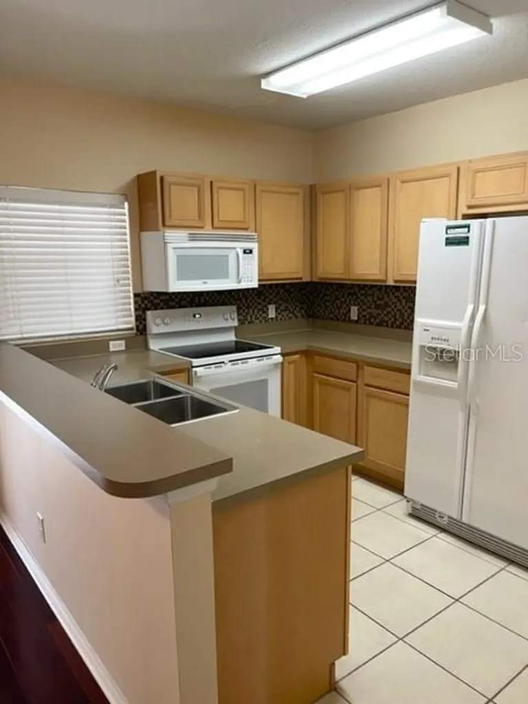 1135 Baronscourt Drive Wesley Chapel FL 33543
