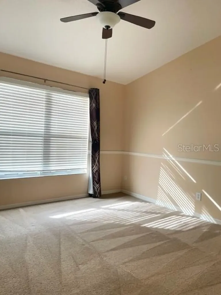 1135 Baronscourt Drive Wesley Chapel FL 33543