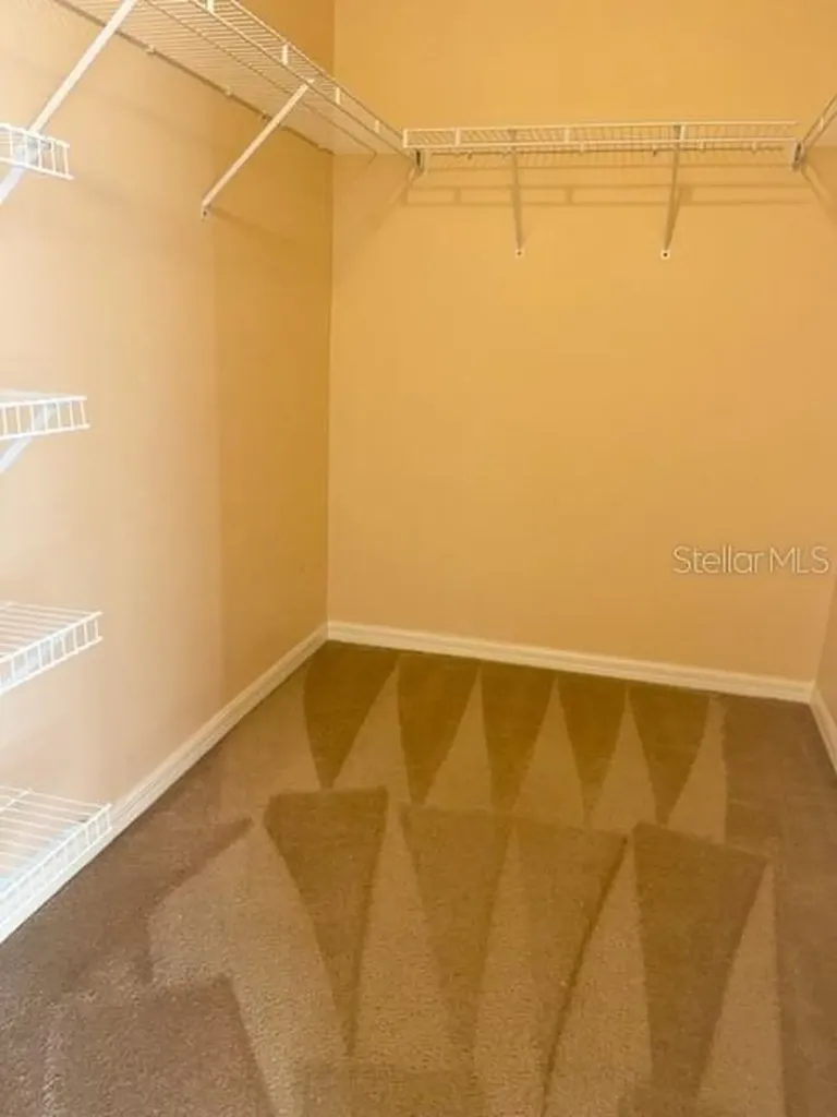 1135 Baronscourt Drive Wesley Chapel FL 33543