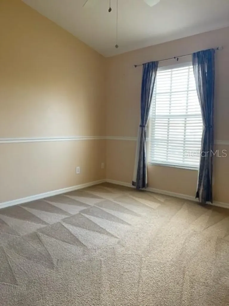 1135 Baronscourt Drive Wesley Chapel FL 33543