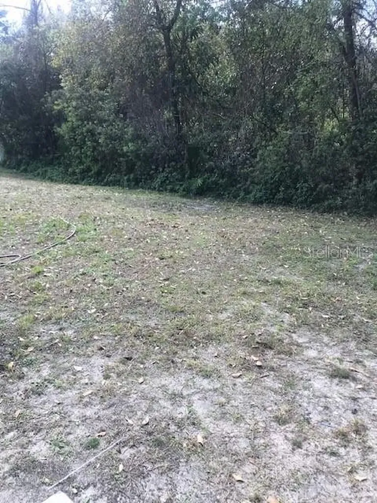 1135 Baronscourt Drive Wesley Chapel FL 33543