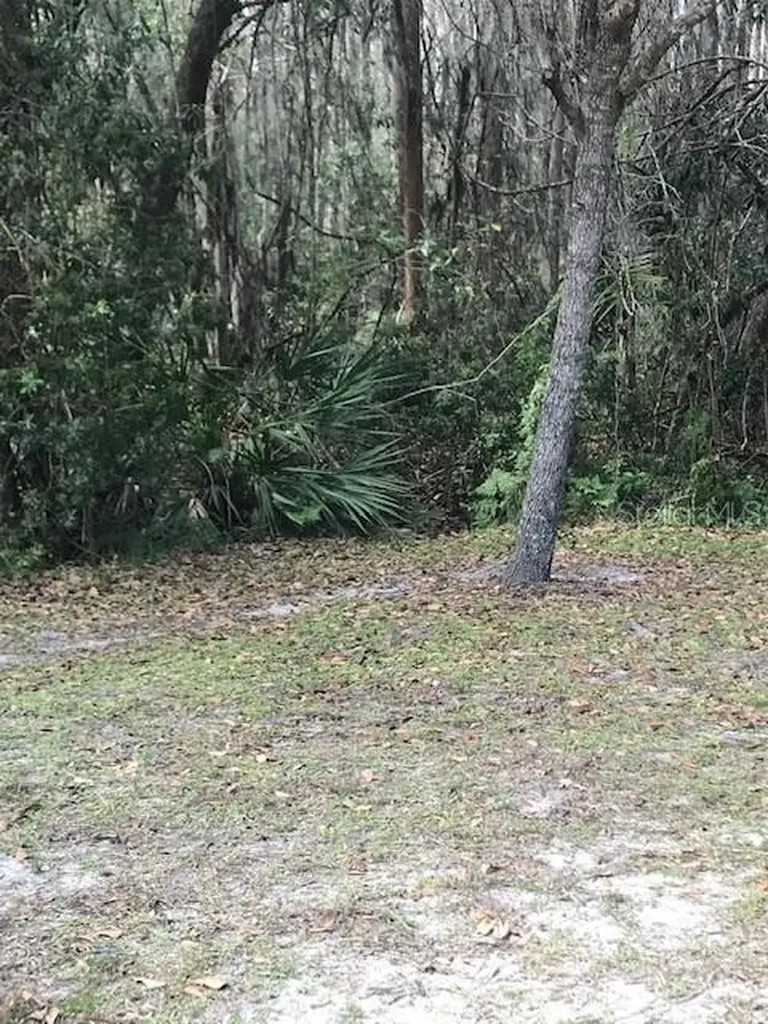 1135 Baronscourt Drive Wesley Chapel FL 33543