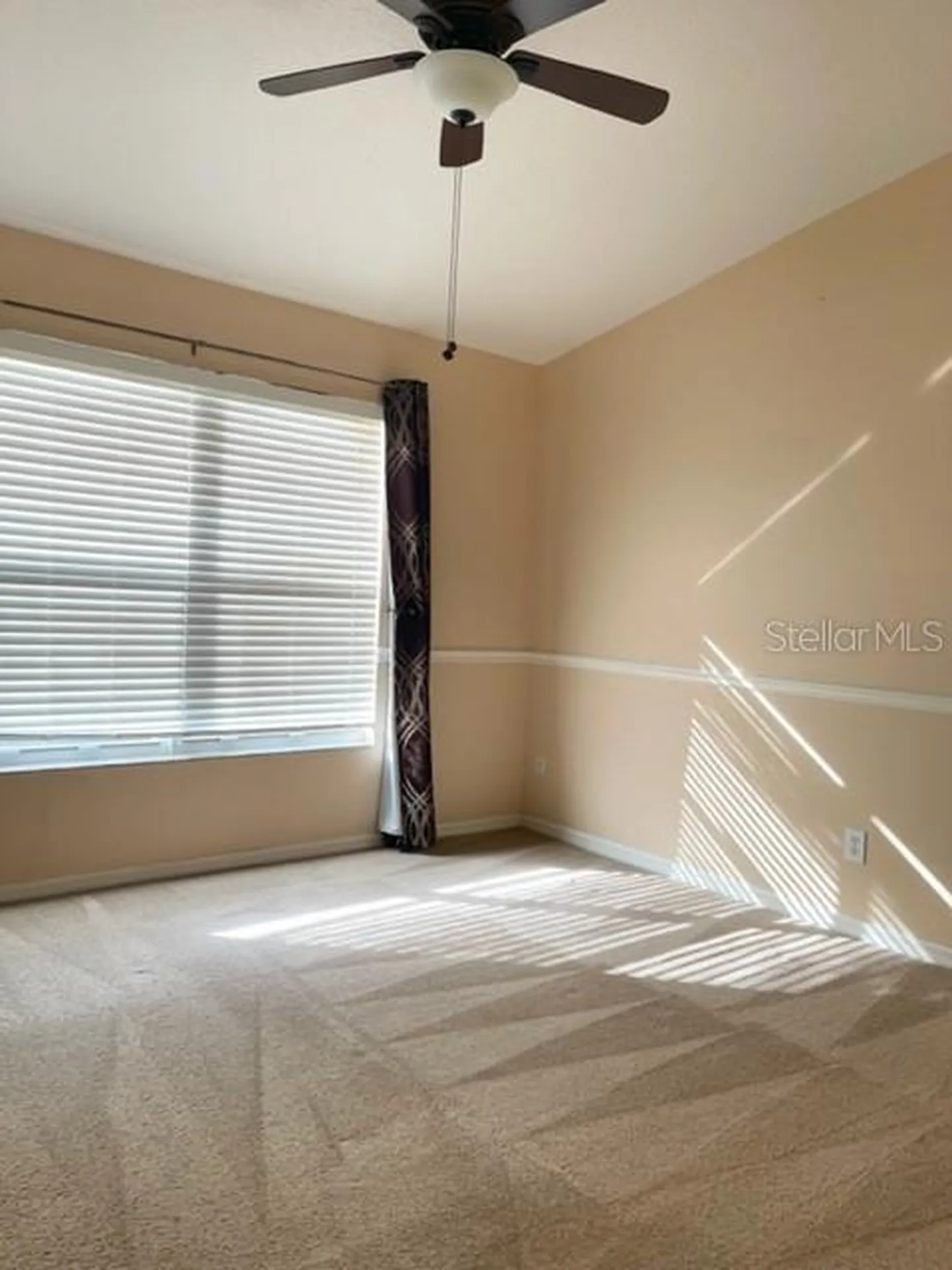 1135 Baronscourt Drive Wesley Chapel FL 33543