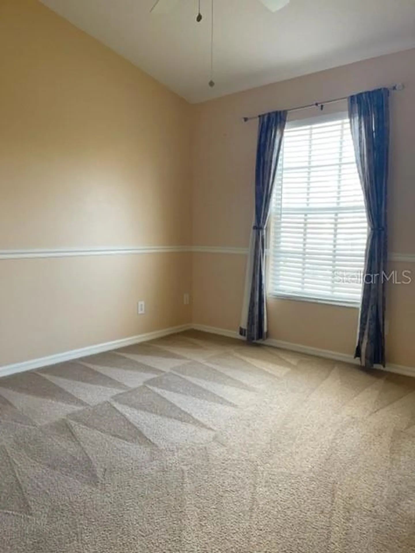 1135 Baronscourt Drive Wesley Chapel FL 33543
