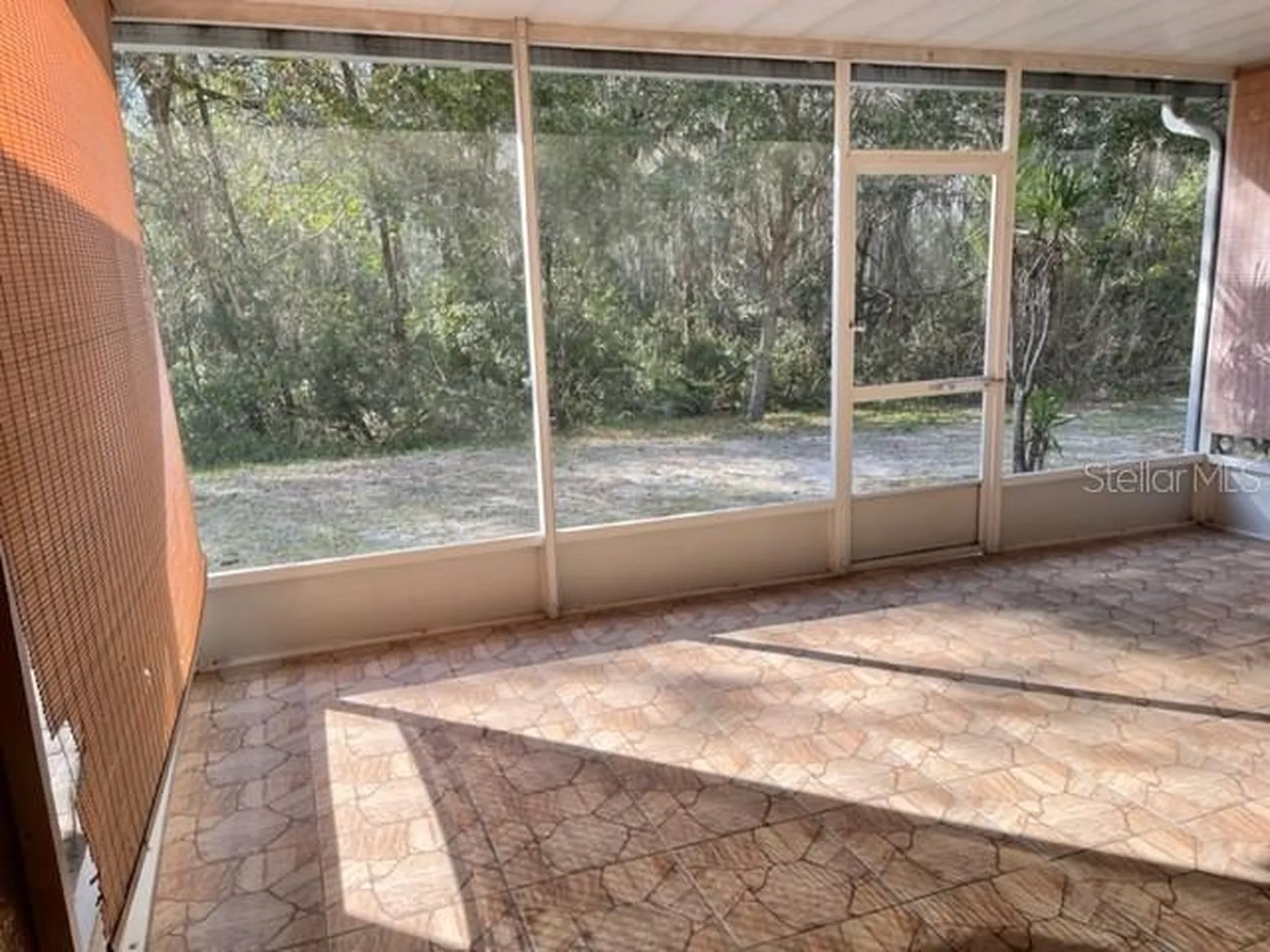 1135 Baronscourt Drive Wesley Chapel FL 33543
