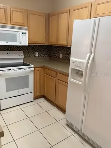 1135 Baronscourt Drive Wesley Chapel FL 33543